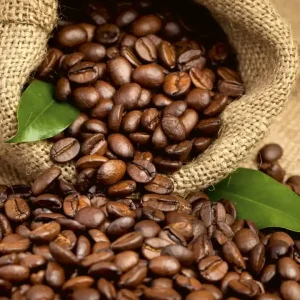 Hit sprzedaży Fototapeta na flizelinie MS-3-0244 COFFEE BEANS