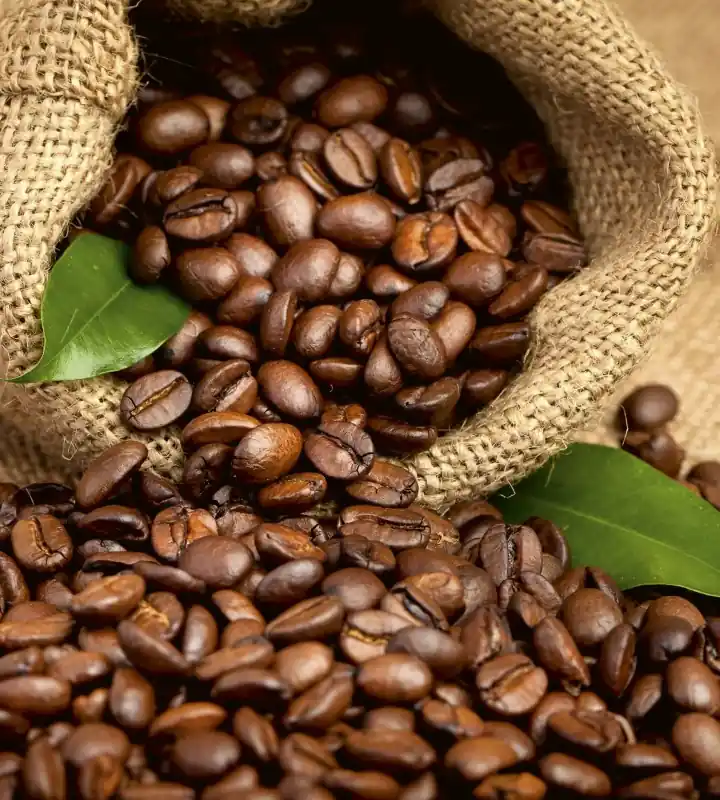 Hit sprzedaży Fototapeta na flizelinie MS-3-0244 COFFEE BEANS