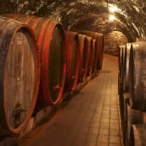 Fototapeta na flizelinie MS-3-0247 WINE BARRELS Zamów teraz