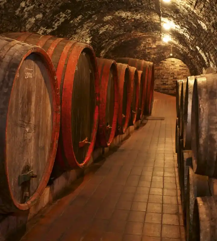 Fototapeta na flizelinie MS-3-0247 WINE BARRELS Zamów teraz