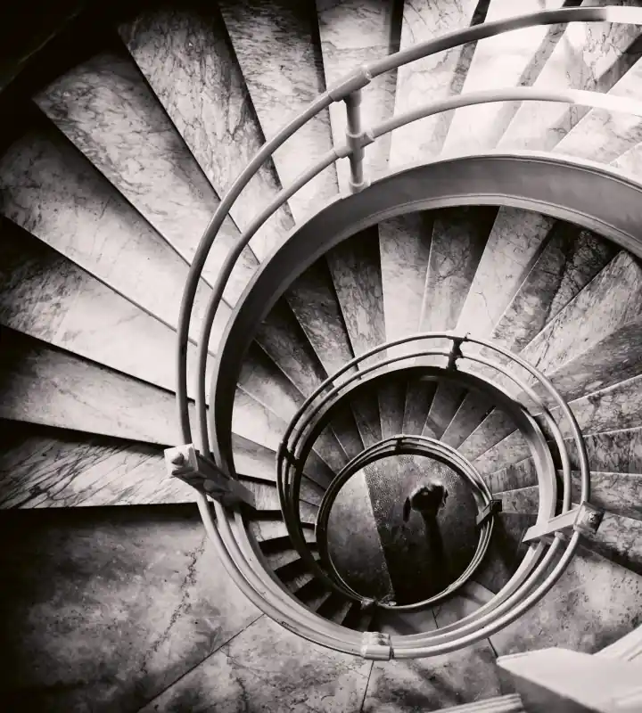 Nowość Fototapeta na flizelinie MS-3-0271 SPIRAL STAIRS