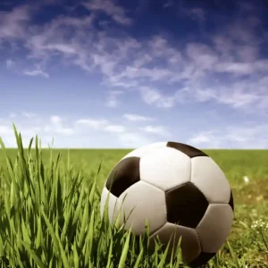 Fototapeta na flizelinie MS-3-0305 SOCCER BALL Szybka dostawa