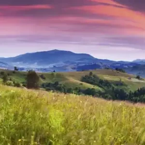 Wyjątkowa oferta Fototapeta na flizelinie MP-2-0061 BLOOMING HILLS