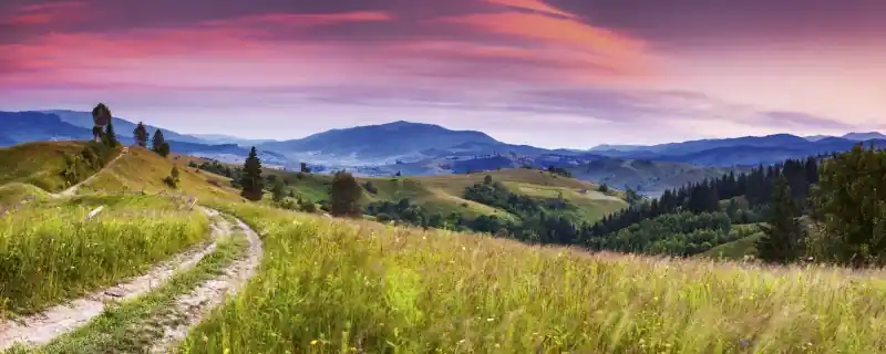 Wyjątkowa oferta Fototapeta na flizelinie MP-2-0061 BLOOMING HILLS
