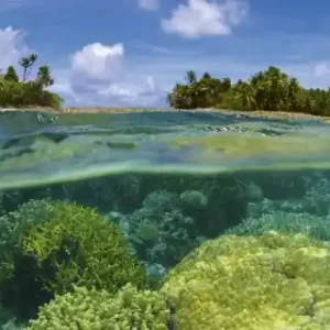 Oferta Fototapeta na flizelinie MP-2-0200 CORAL REEF