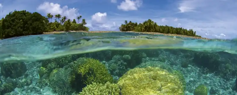 Oferta Fototapeta na flizelinie MP-2-0200 CORAL REEF