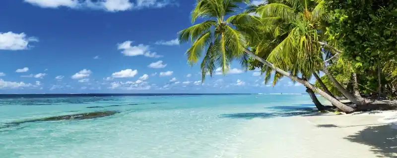 Bezpieczna płatność Fototapeta na flizelinie MP-2-0215 PARADISE BEACH