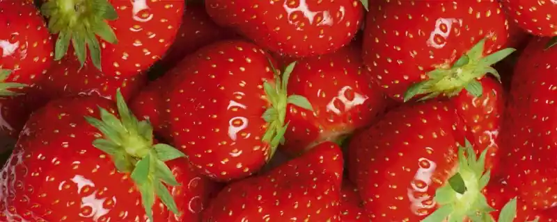 Hit cenowy Fototapeta na flizelinie MP-2-0241 STRAWBERRY