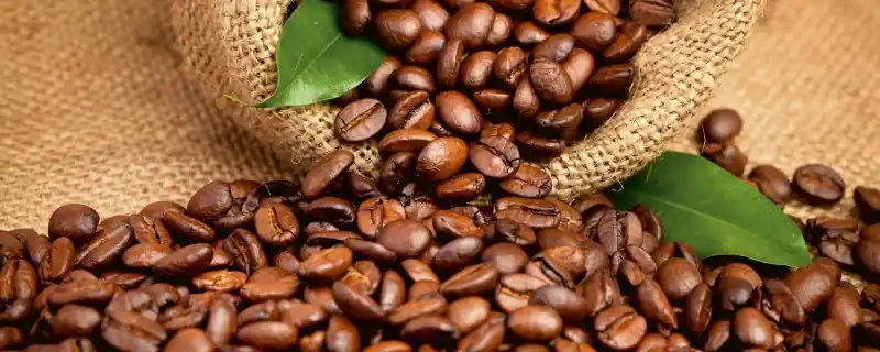 Fototapeta na flizelinie MP-2-0244 COFFEE BEANS Szybka wysyłka