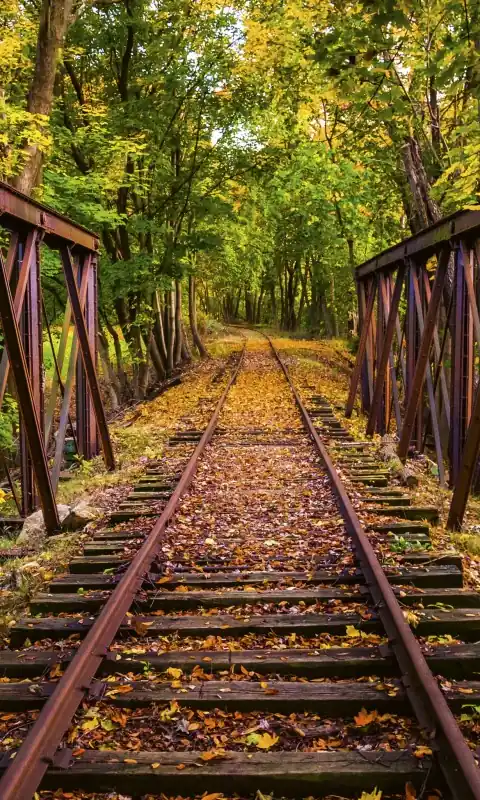 Fototapeta na flizelinie MS-2-0055 RAILROAD Bezpieczna płatność