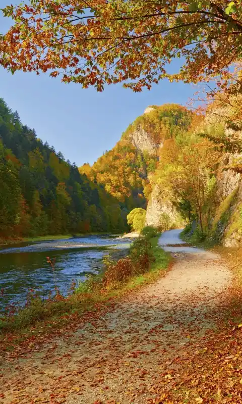 Popularny Fototapeta na flizelinie MS-2-0069 DUNAJEC RIVER