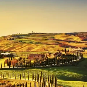 Fototapeta na flizelinie MS-2-0070 TUSCANY Do wyczerpania zapasów