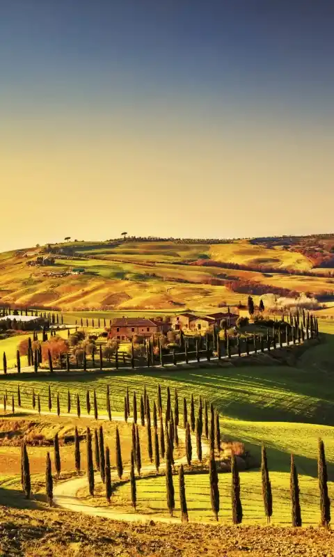 Fototapeta na flizelinie MS-2-0070 TUSCANY Do wyczerpania zapasów