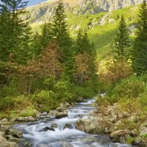 Łatwy zwrot Fototapeta na flizelinie MS-2-0077 VALLEY