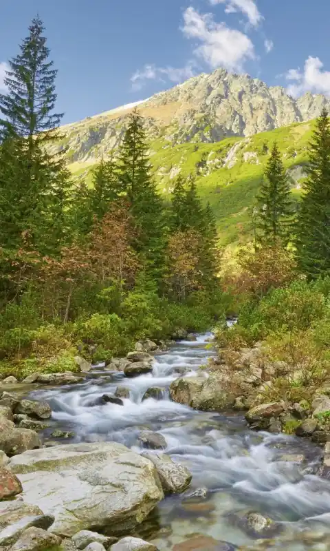Łatwy zwrot Fototapeta na flizelinie MS-2-0077 VALLEY
