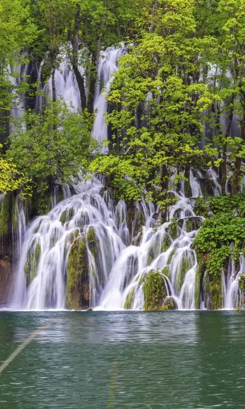 Fototapeta na flizelinie MS-2-0078 PLITVICE LAKES Zamów teraz