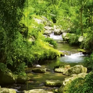 Zamów dziś Fototapeta na flizelinie MS-2-0079 STREAM