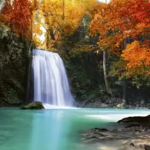 Kup teraz Fototapeta na flizelinie MS-2-0083 DEEP FORESTWATERFALL