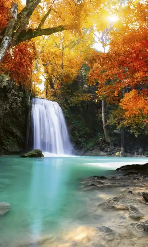 Kup teraz Fototapeta na flizelinie MS-2-0083 DEEP FORESTWATERFALL