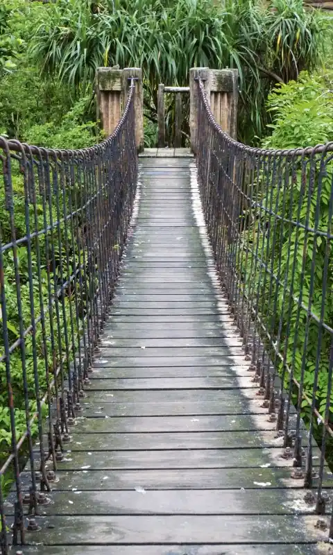 Fototapeta na flizelinie MS-2-0084 FOOTBRIDGE Hit cenowy