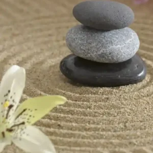 Fototapeta na flizelinie MS-2-0117 ZEN GARDEN Oferta