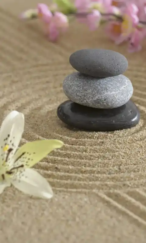 Fototapeta na flizelinie MS-2-0117 ZEN GARDEN Oferta