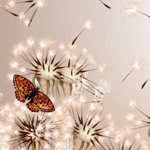 Fototapeta na flizelinie MS-2-0148 DANDELIONS AND BUTTERFLY Obniżka ceny