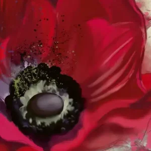 Fototapeta na flizelinie MS-2-0150 POPPY Tylko dziś