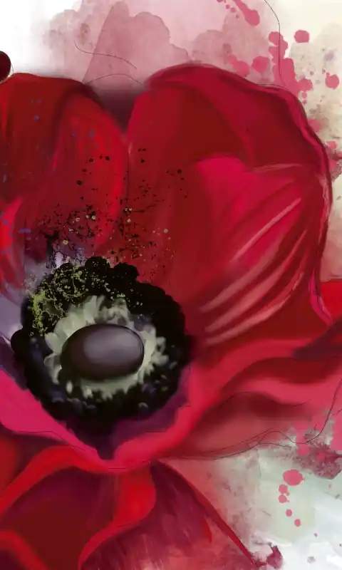 Fototapeta na flizelinie MS-2-0150 POPPY Tylko dziś