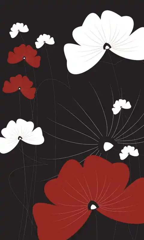 Fototapeta na flizelinie MS-2-0156 FLOWERS ON BLACK Sprawdź teraz
