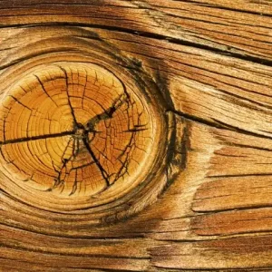 Fototapeta na flizelinie MS-2-0157 WOOD KNOT Promocja