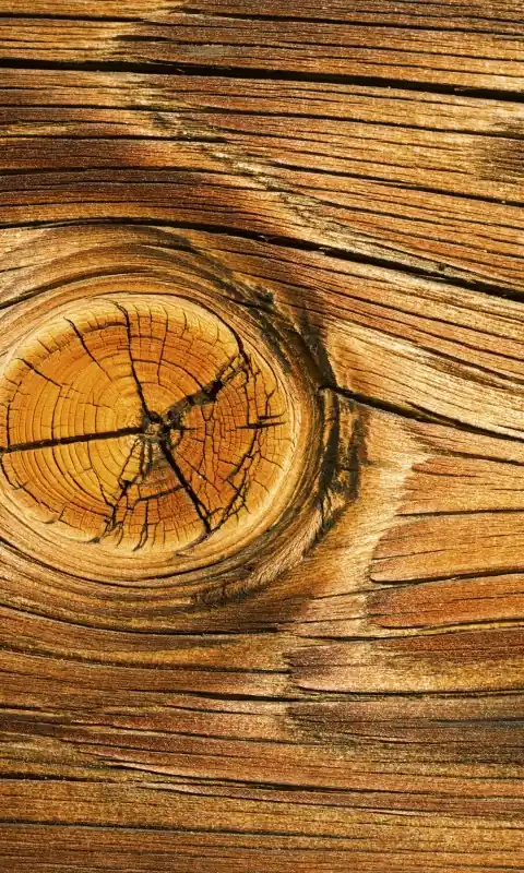 Fototapeta na flizelinie MS-2-0157 WOOD KNOT Promocja