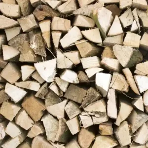 Fototapeta na flizelinie MS-2-0161 TIMBER LOGS Tani
