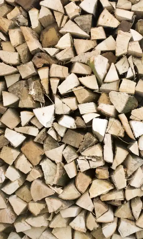 Fototapeta na flizelinie MS-2-0161 TIMBER LOGS Tani