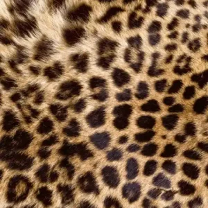 Szybka dostawa Fototapeta na flizelinie MS-2-0184 LEOPARD SKIN