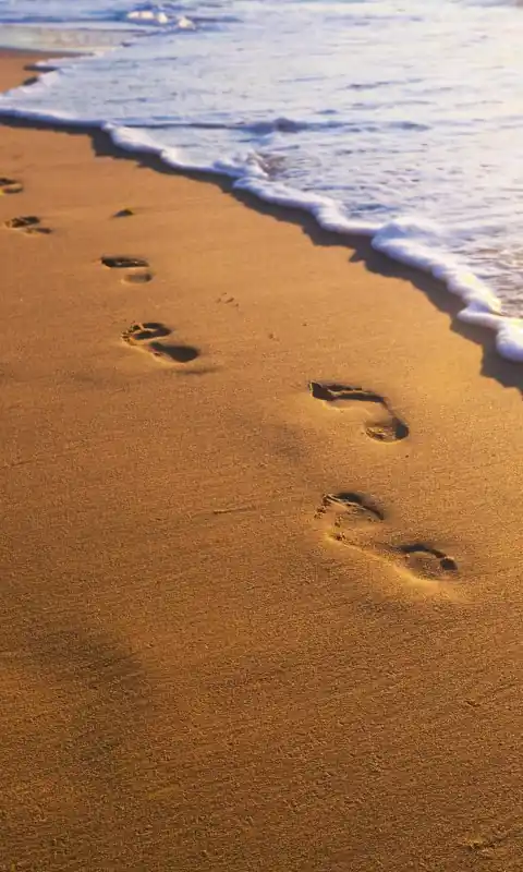 Dostępne od ręki Fototapeta na flizelinie MS-2-0193 FOOTSTEPS