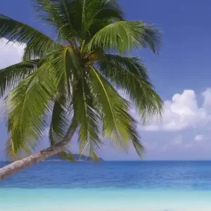 Oferta limitowana Fototapeta na flizelinie MS-2-0194 BEACH