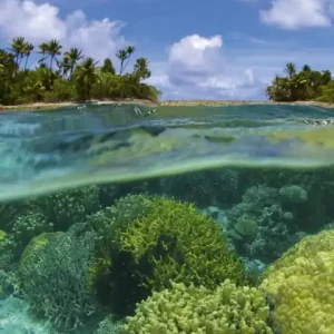 Fototapeta na flizelinie MS-2-0200 CORAL REEF Taniej