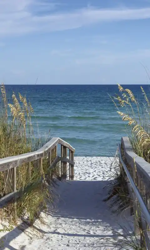 Promocja Fototapeta na flizelinie MS-2-0212 SANDY BOARDWALK
