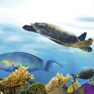 Fototapeta na flizelinie MS-2-0216 FISH Kup teraz