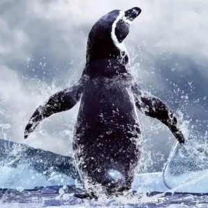 Szybka wysyłka Fototapeta na flizelinie MS-2-0219 PENGUIN