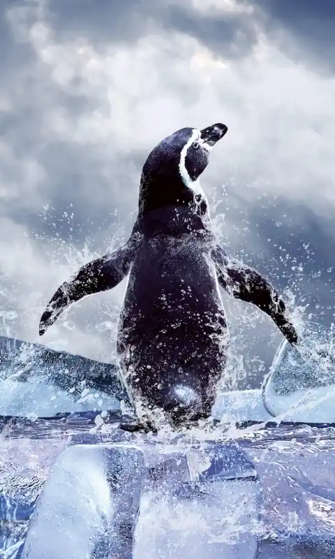 Szybka wysyłka Fototapeta na flizelinie MS-2-0219 PENGUIN