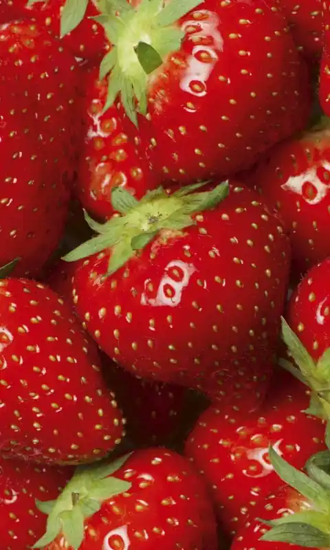 Fototapeta na flizelinie MS-2-0241 STRAWBERRY Oferta