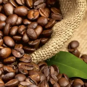 Kup teraz Fototapeta na flizelinie MS-2-0244 COFFEE BEANS