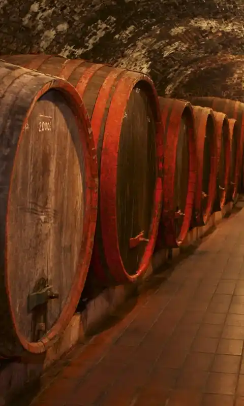 Okazja Fototapeta na flizelinie MS-2-0247 WINE BARRELS