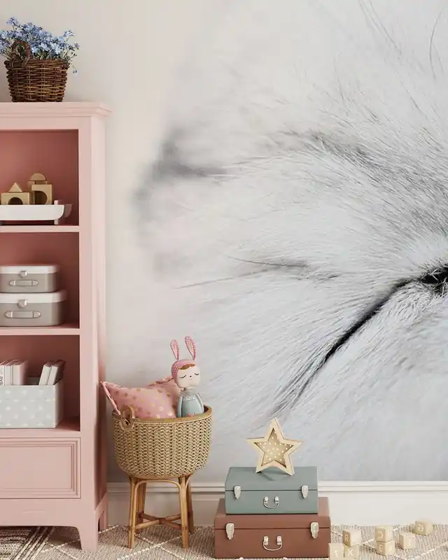 Biały Kot Oferta limitowana