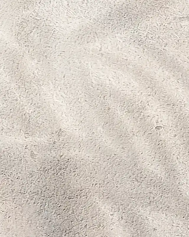 Słoneczne cienie palm na szorstkiej kamiennej ścianie Do wyczerpania zapasów