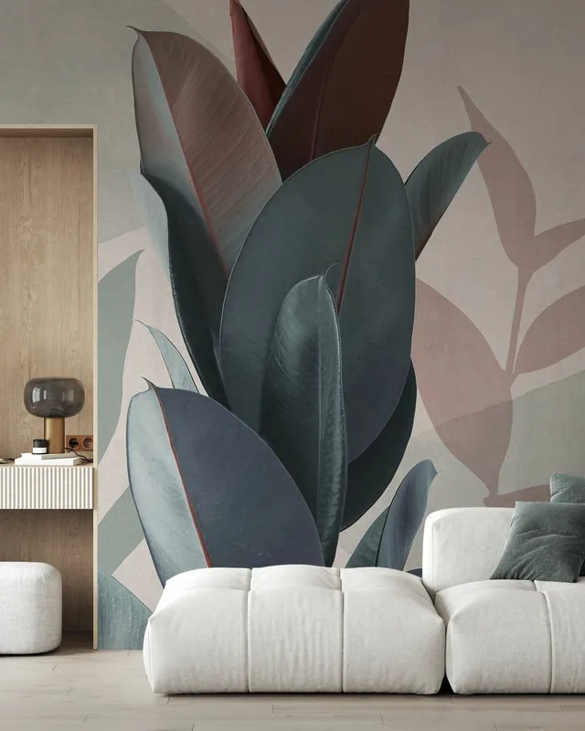 Premium Ficus Elastica