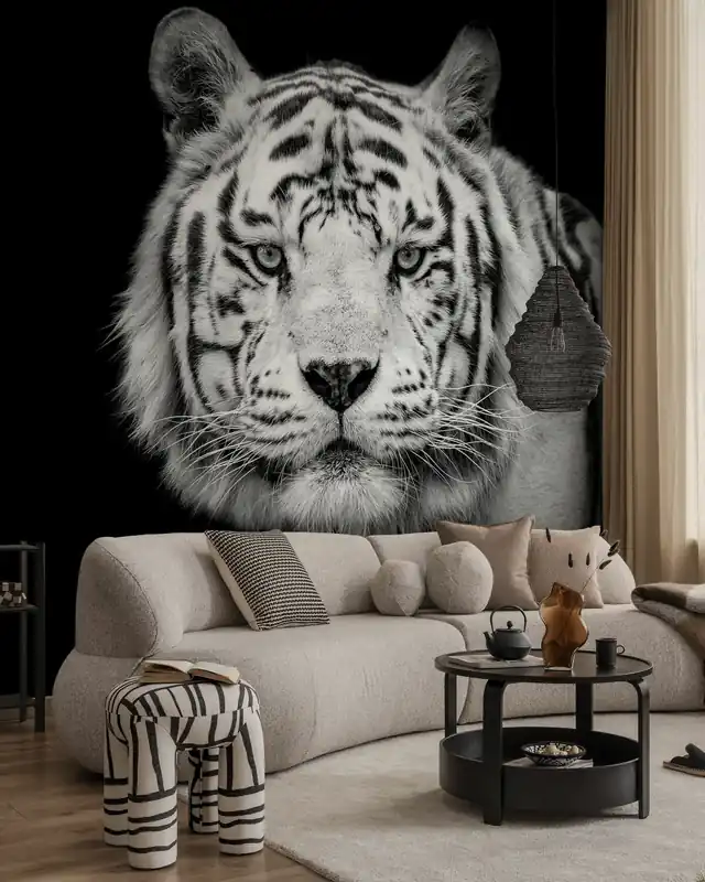 Bengal Biały Tygrys Wyprzedaż
