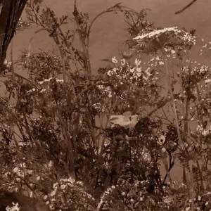 Akwarel Jezioro - Atrament Sepia Oferta limitowana